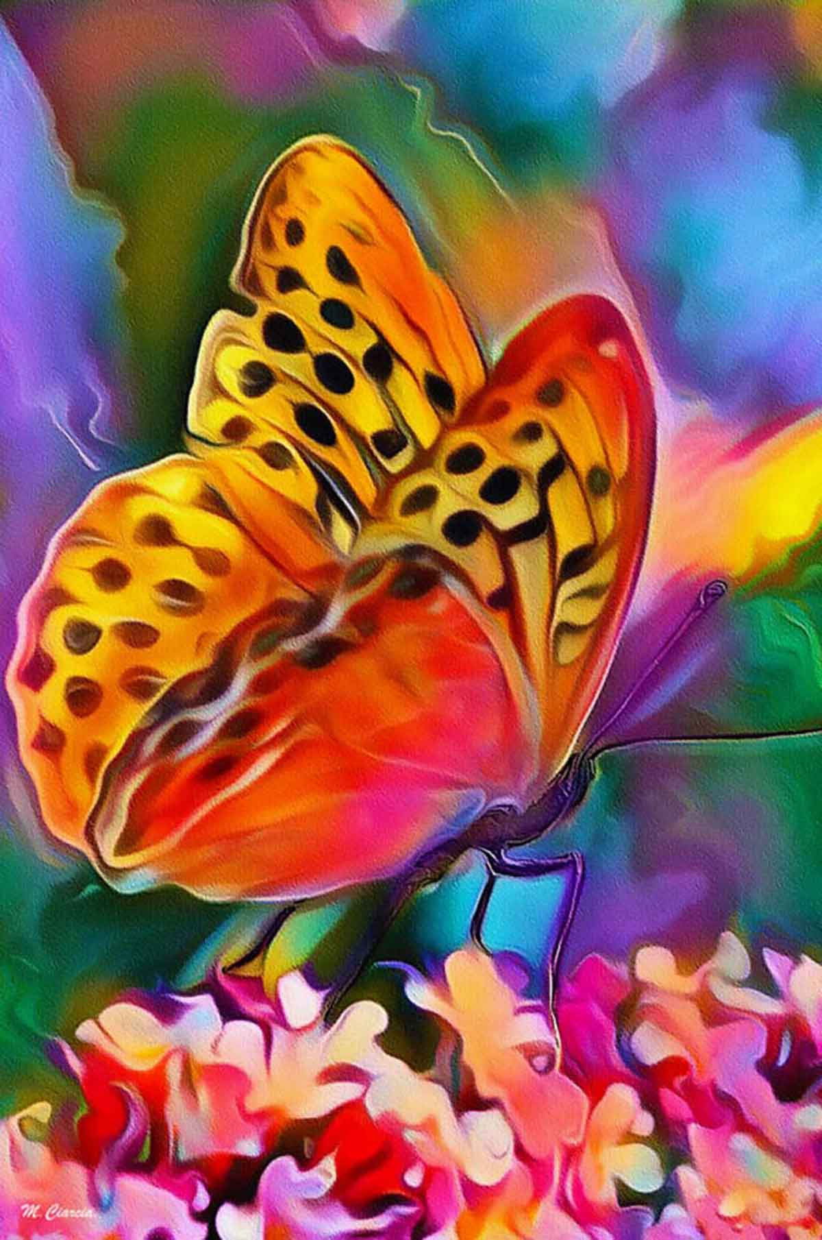 Farfalla che si posa su di un fiore